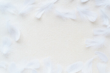 白背景に白い羽根のシンプルなフレーム