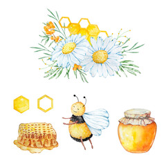 Watercolor set, bees, honeycombs and bouquets of chamomile