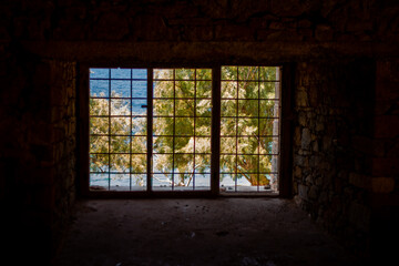 View through the bars of an old prison cell. Outside you can see the sandy beach, on which is a large willow tree.
