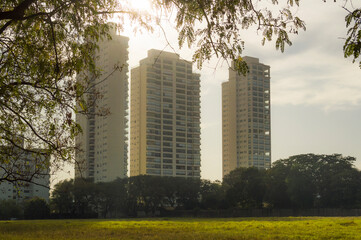 Sun shining in the morning through apartment towers, tree branches, lawn, trees, Piracicaba SP Brazil .