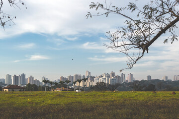 Panoramic view of the city, blue sky, lawn, tree branches , Piracicaba SP Brazil,