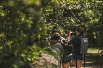 A boy and girl photographer is holding a professional photo-video camera in her hands. Against the backdrop of beautiful green nature and forests.Nature photographer