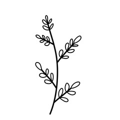 Plant lineart