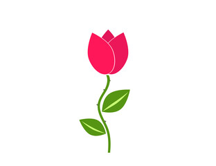 Flower flat vector icon (tulip, crocus, snowdrop)