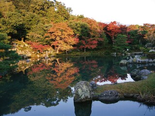 京都　天龍寺の紅葉の風景