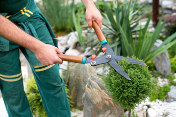 Young gardener trimming the bush with shears