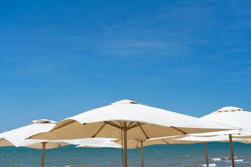 Beach umbrellas are spreading on the beach by the sea