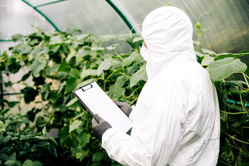 The topic of industrial agriculture. A person sprays toxic pesticides or insecticides on a plantation. Weed control