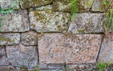Pattern of ancient bricks and stones at old middle age fortress wall covered with moss, fern and lichen, as a background, closeup, details.