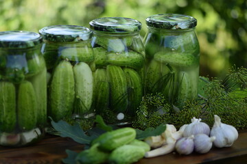 Jars of pickled cucumbers, fermented cucumbers, pickles, dill, garlic, horseradish and herbs.