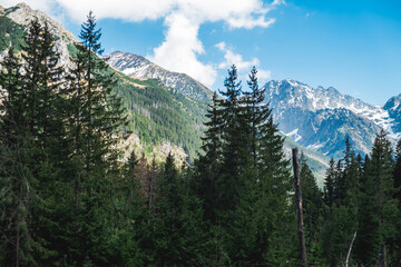 View of the Tatras Mountains