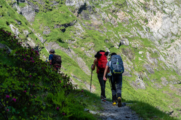 route to the port of Vénasque, Luchon, Pyrenean mountain range, France