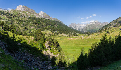 Fototapeta na wymiar herd of cows in Plan d´Estan, Benasque Valley, Huesca, Pyrenean mountain range, Spain