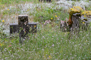 crosses between wild flowers, Vielle-Louron village, Louron valley, Occitanie, Pyrenean mountain...