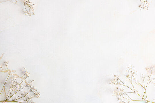 Dried gypsum flower on background with free space for design.