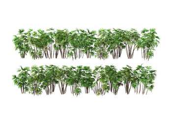 Shrubs and flowering plants on a white background