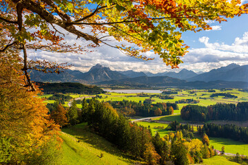 panoramic landscape at autumn with tree and mountain