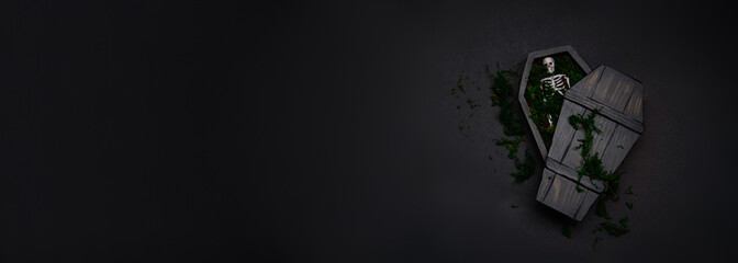 Skeleton in a coffin on a black background. Halloween decoration
