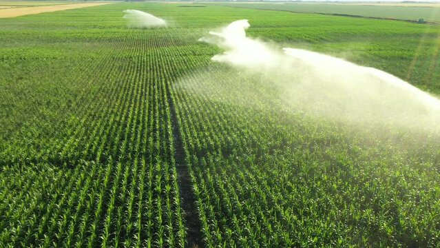 Aerial view, dolly move, of irrigation system, water jet rain guns sprinklers, on field with corn, helping grow, vegetation in dry season, increases crop yields.