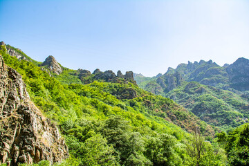 Forests and mountain ranges. Green forests and fields. The tops of the mountains are covered with clouds