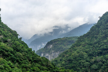 Beautiful scenic of the forest along the mountain and rock cliff.