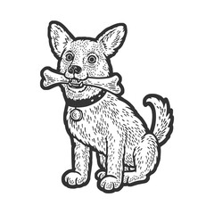 dog with a bone in his teeth sketch engraving raster illustration. T-shirt apparel print design. Scratch board imitation. Black and white hand drawn image.