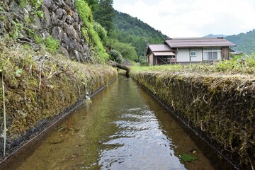 Fototapeta na wymiar 日本の田舎、原風景、夏、美山、かやぶき、美山かやぶきの里、石垣、小川