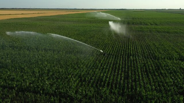 Aerial view, dolly move, of irrigation system, water jet rain guns sprinklers, on field with corn, helping grow, vegetation in dry season, increases crop yields.