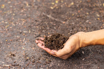 Men's hands protect  by rich soil with all the elements needed to grow, while digital icons represent elements.nutrients needed by plants are nitrogen, phosphorus, potassium and others.