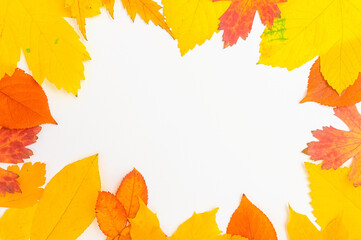 Naklejka na ściany i meble frame of yellow and orange autumn leaves on a white background, copy space in the center