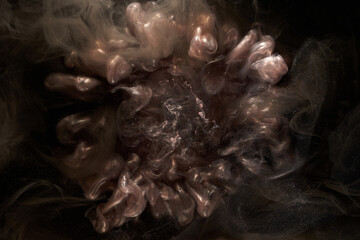 Liquid fluid art abstract background. Dark multicolored smoke dancing acrylic paints underwater, space ocean, universe explosion © amixstudio