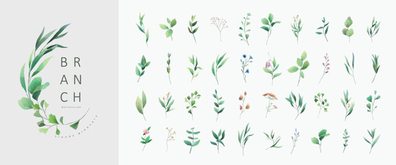 Set of luxury green leaves and flowers elements in watercolor style. Aquarelle trendy greenery branches and blooming. Vector isolated on white background for Invitation, greeting