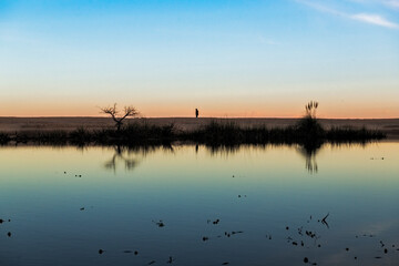 People walking along the beach, with a completely calm pool of water reflecting the surroundings, during sunset
