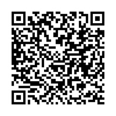 Vector QR code