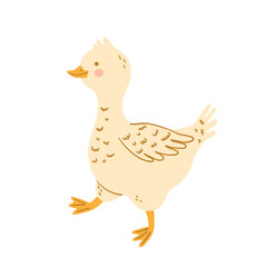 Cute goose or duck isolated on white background. Cartoon domestic bird, farm poultry, fowl, waterfowl. Vector children illustration for card, print, poster. Farming, agriculture, country life