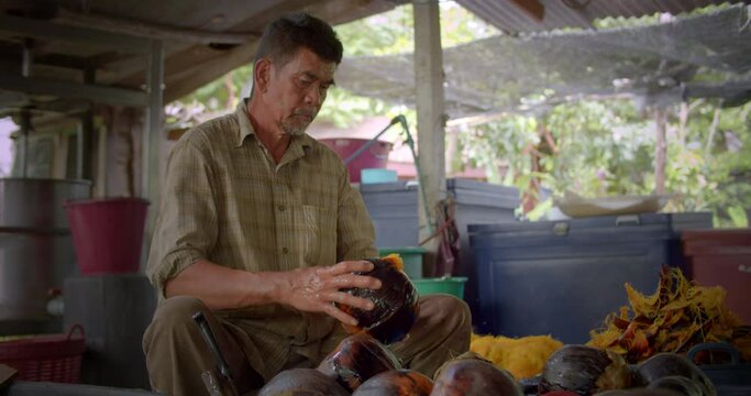 Asian male farmer slow motion scene who is elderly native, tearing the skin of the palmyra palms (lontar, fan palm)to be blended, leaving only the pulp to sell for making toddy palm cake(Kanom Tarn).
