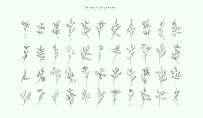 Set of luxury flowers and trendy botanical elements. Hand drawn line leaves branches and blooming. Wedding elegant wildflowers for invitation save the date card. Vector trendy