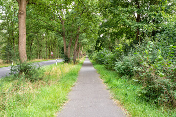 Empty road and scenic walkway path way natural background