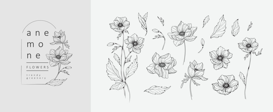 Set of luxury flowers and logo. Trendy botanical elements. Hand drawn line leaves branches and blooming. Wedding elegant wildflowers for invitation save the date card. Vector