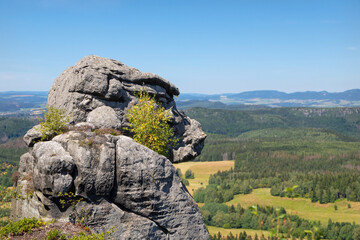 Ape rock on Szczeliniec Wielki -  at Table Mountains, Sudetes, Poland