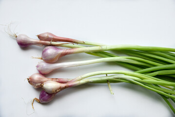 Green onions with bulbs on a white background.