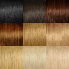 Hair color palette - set of hair colors