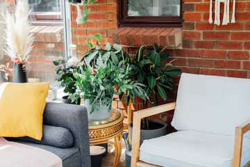 Cozy, light conservatory interior design with gray sofa decorated with bright textile cover and cushions and many green house plants. Hygge home interior design. Biophilic lifestyle. Selective focus.