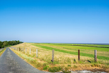 View along the dike with a meadow to the right and the North Sea in the background under a blue sky