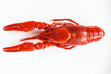 Boiled Crayfish ready to eat