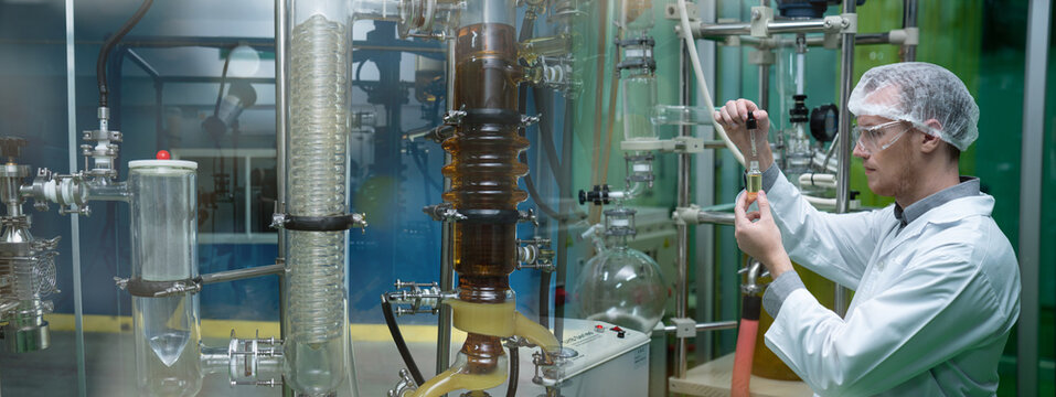 Professional Scientist holding Cannabis oil bulbs and checking vaporizer during CBD oil extraction in science lab.
