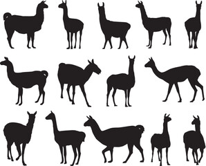 Lama silhouettes