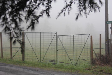 Iron gate in rural America and fog behind pine forest.