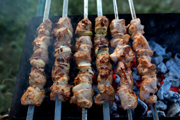 grilled meat on the grill