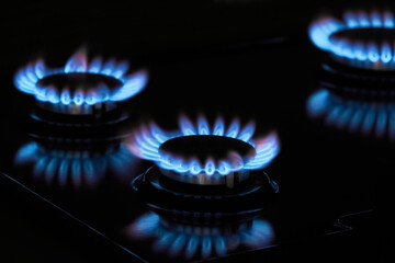 Flaming gas burners on household kitchen stove in the darkness
